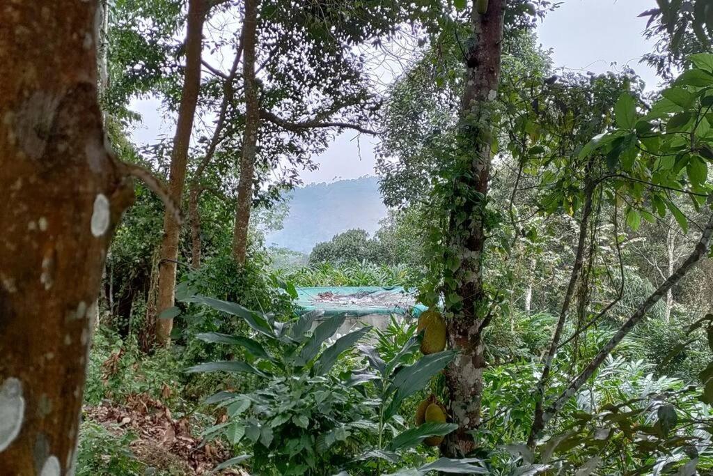 Coffee Camp Home Stay With Tree House Kattappana Exterior photo